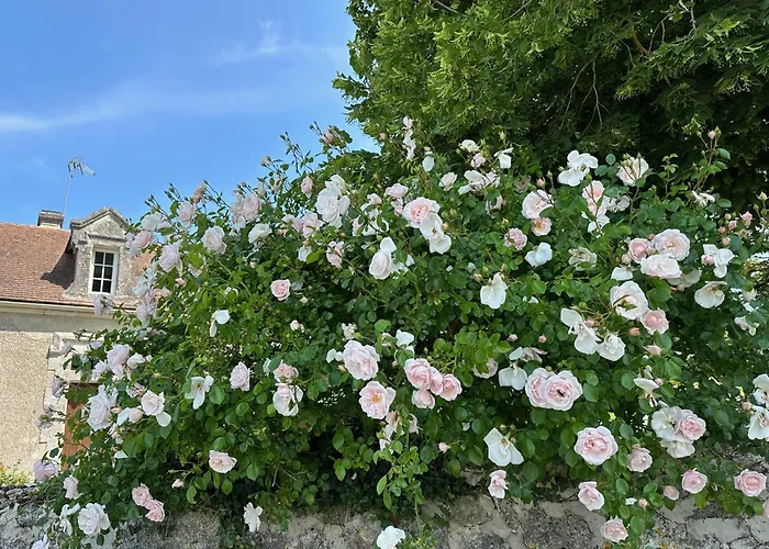 Hotel & Spa Chateau De La Cote - Brantome